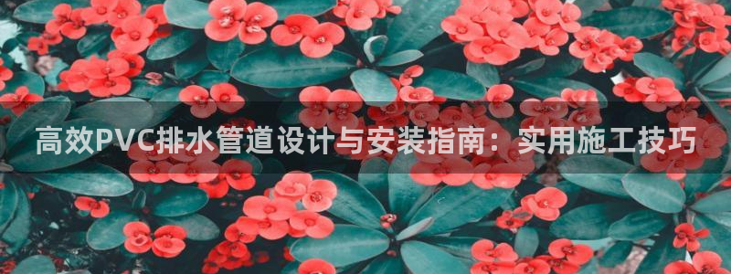 天辰娱乐待遇