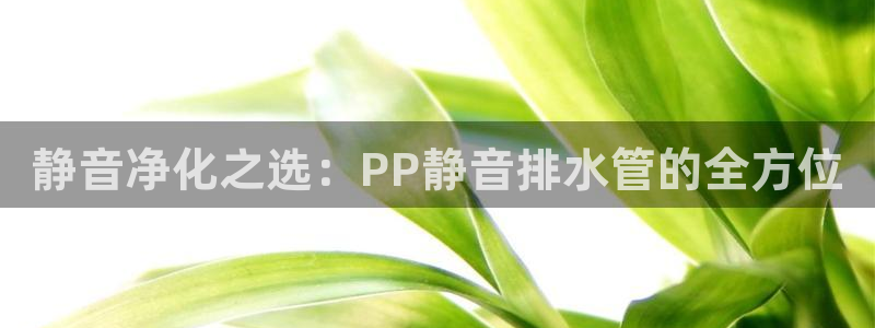 天辰国际娱乐