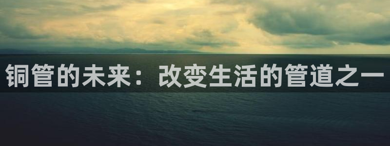 天辰娱乐84566