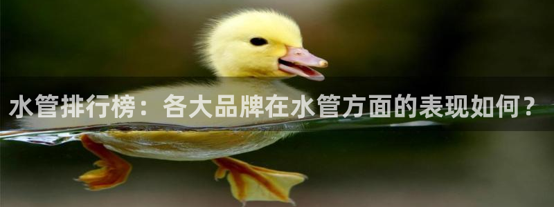 天辰娱乐 首选