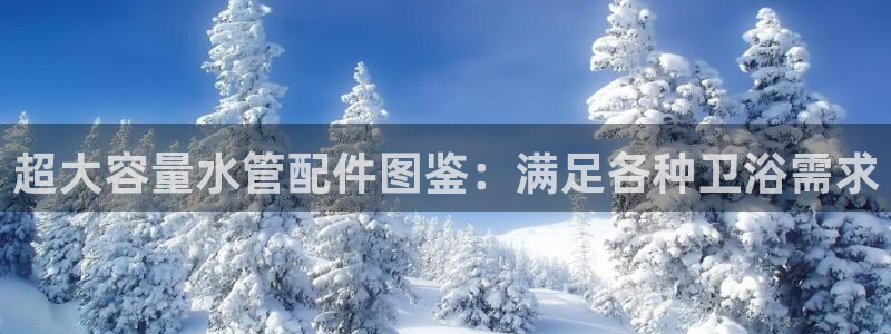 天辰娱乐老板