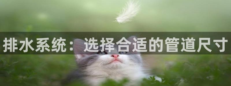天辰娱乐股票