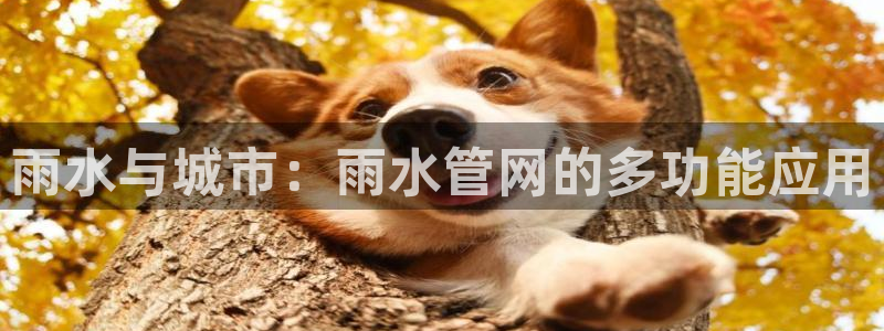 天辰娱乐下载