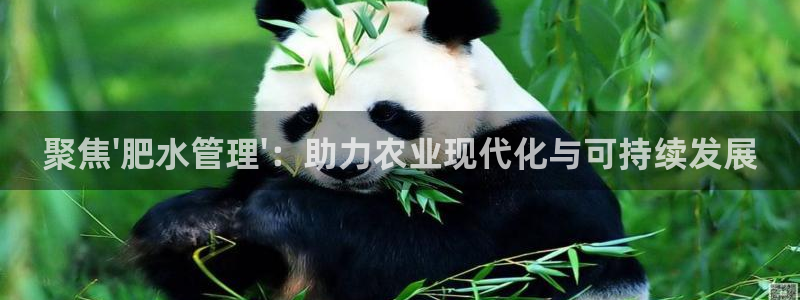 天辰娱乐小姐
