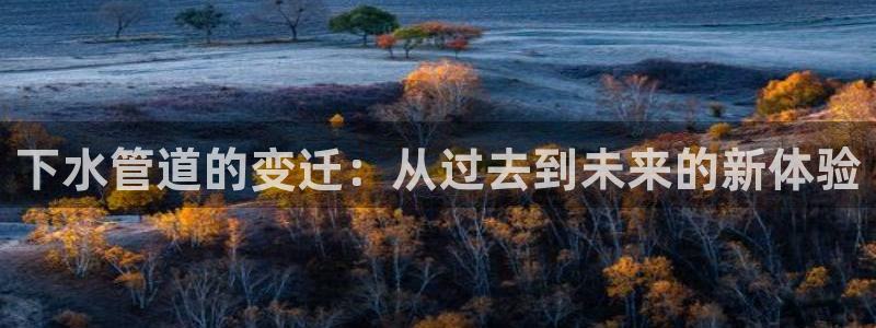 天辰娱乐平台地址在哪里