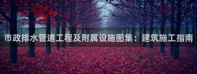 天辰娱乐官网平台入口