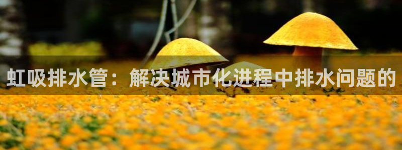 天辰娱乐指定