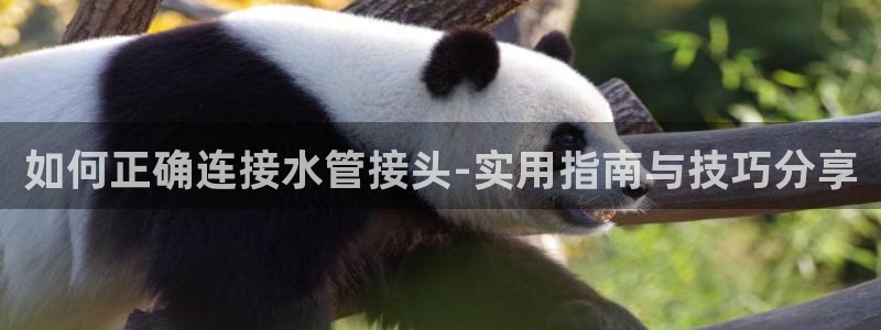 天辰娱乐平台安全吗