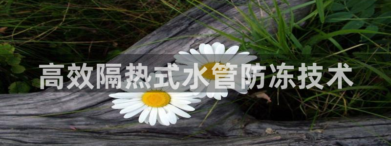 天辰天富娱乐