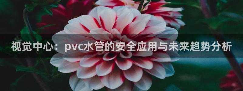 天富娱乐与天辰娱乐