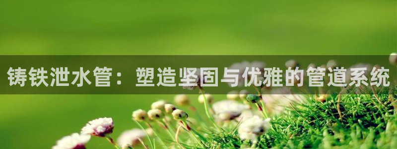 天辰娱乐481928