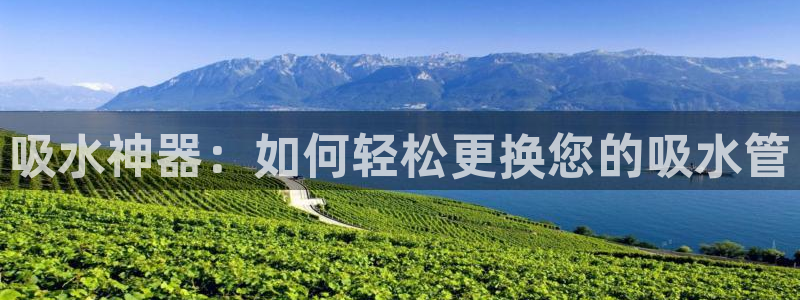 天辰娱乐直属