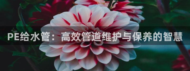 天辰娱乐白屏