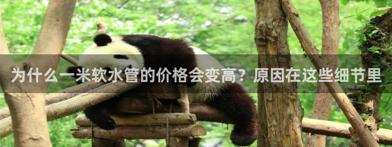 天辰娱乐台湾