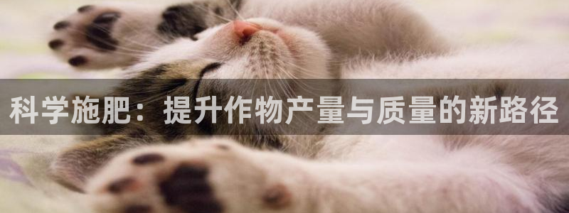 桂林天辰娱乐