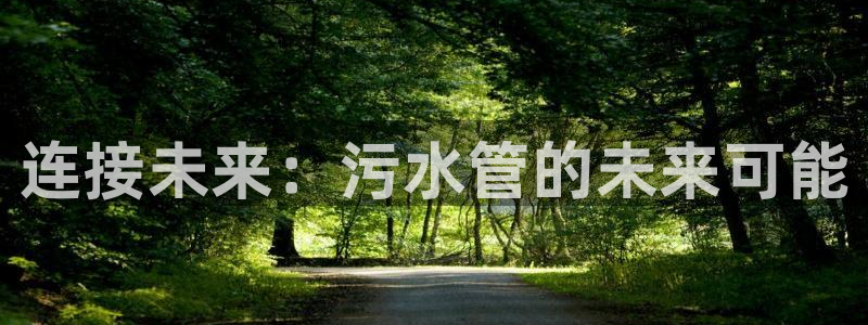 天辰娱乐分红