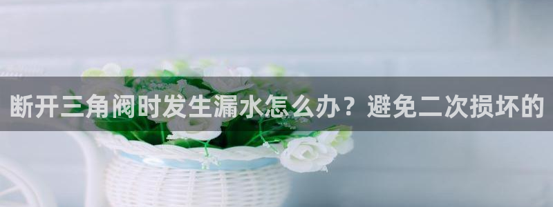 天辰娱乐84566