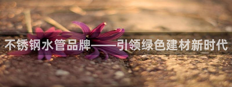 天辰团队贝高娱乐