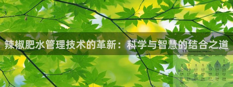 天辰娱乐官网平台入口
