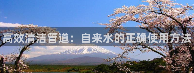 天辰娱乐 849852