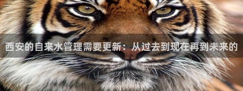 天辰娱乐557696