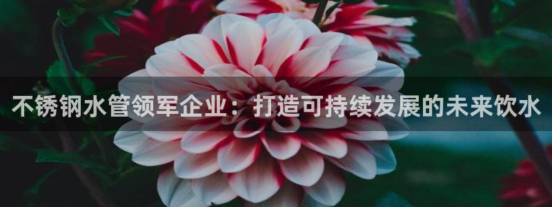 天辰娱乐电话