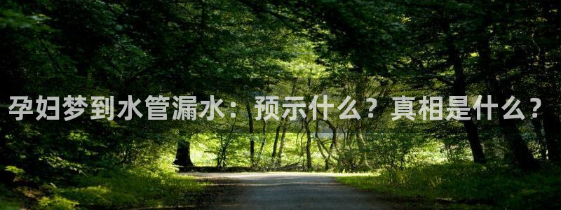 天辰娱乐跑的快