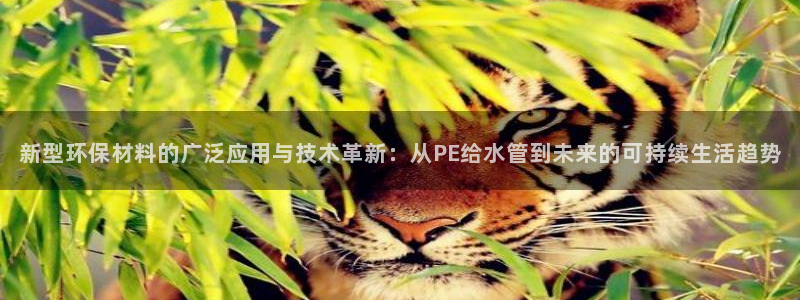 天辰娱乐总管年薪