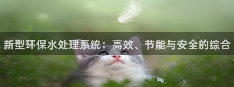 天辰辰娱乐代理