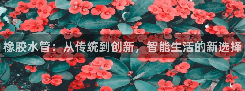 天辰娱乐-q
