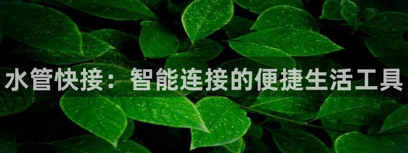天辰娱乐-18113