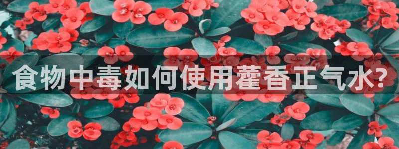 天辰娱乐十分彩