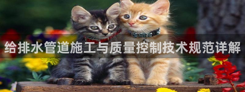 天辰娱乐481928