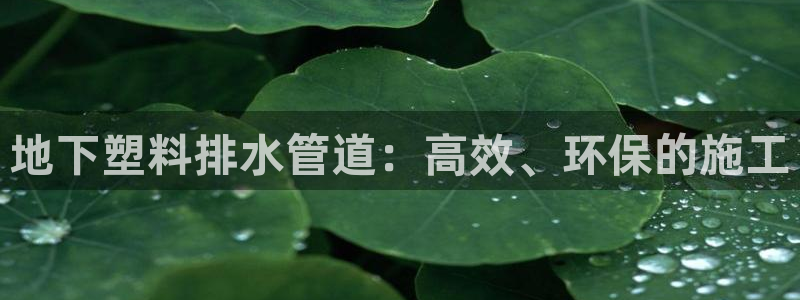 天辰娱乐在哪