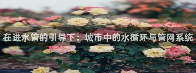 天辰娱乐在哪