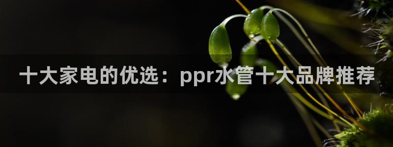 天辰娱乐官