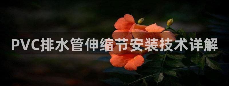 天辰娱乐客服