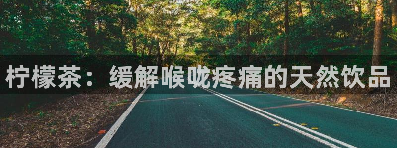 天辰娱乐游客