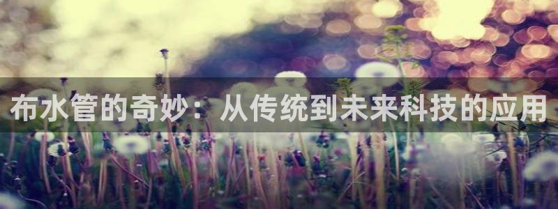 天辰娱乐的网址首页