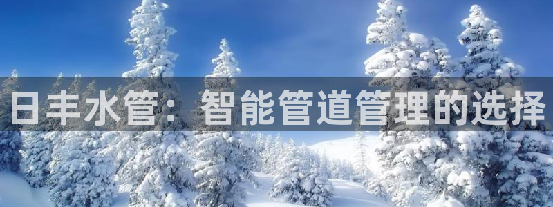 天辰娱乐公司