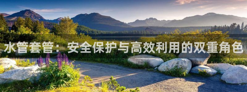 天辰娱乐新