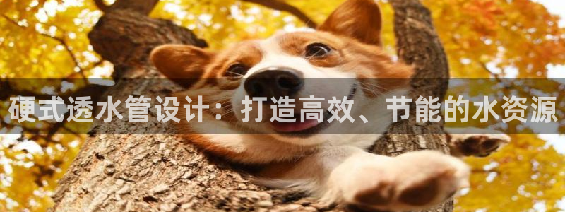 天辰在线娱乐