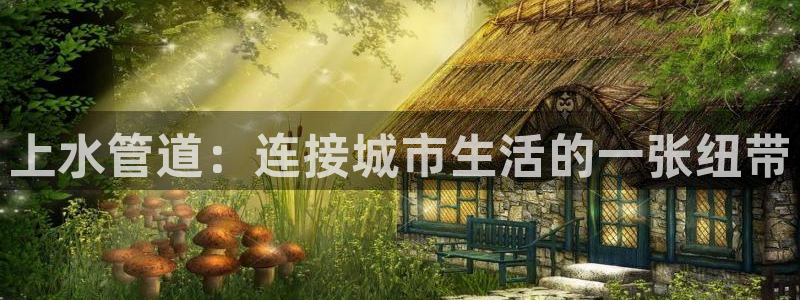 大同天辰娱乐