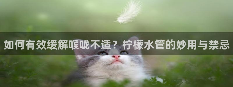 天辰娱乐平台