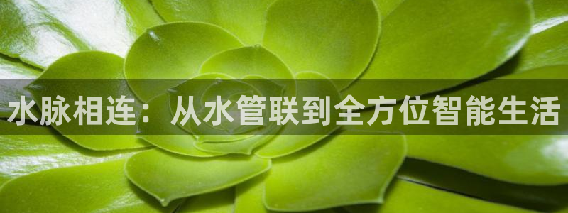 天辰娱乐股票