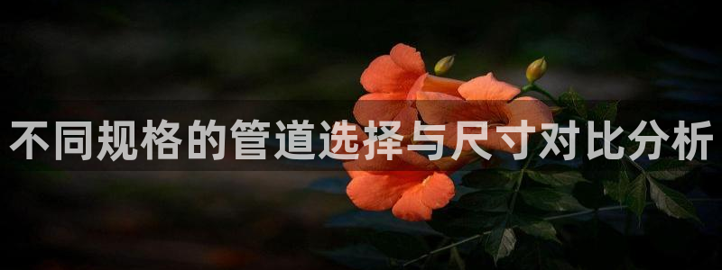 天辰娱乐-q