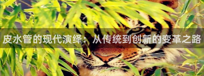 天辰娱乐老板