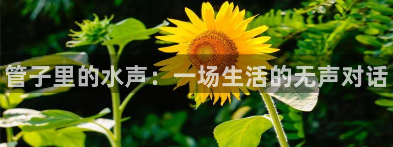 天辰娱乐分红