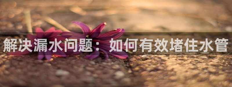 天辰娱乐728567