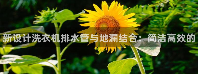 天辰娱乐待遇